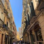 Embracing Remote Work: A Week in Málaga